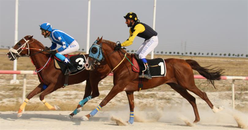 14 EKİM 2025 ADANA ALTILI TAHMİNLERİ