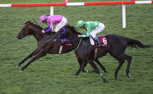 13 EKİM 2025 ŞANLIURFA BİLGİSAYAR TAHMİNLERİ