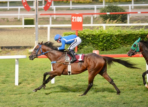 13 EKİM 2025 BURSA AT YARIŞI TAHMİNLERİ