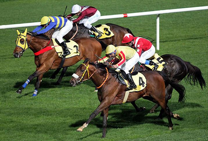 11 EKİM 2025 DİYARBAKIR TAHMİNLERİ